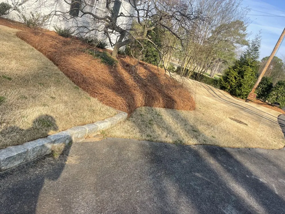 Top-rated yard cleanup service experts serving Rome, GA - Mr.'s Sparkle Services