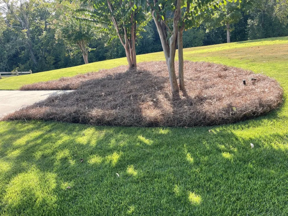 Local outdoor landscaping for beautiful yards in Rome, GA by Mr.'s Sparkle Services