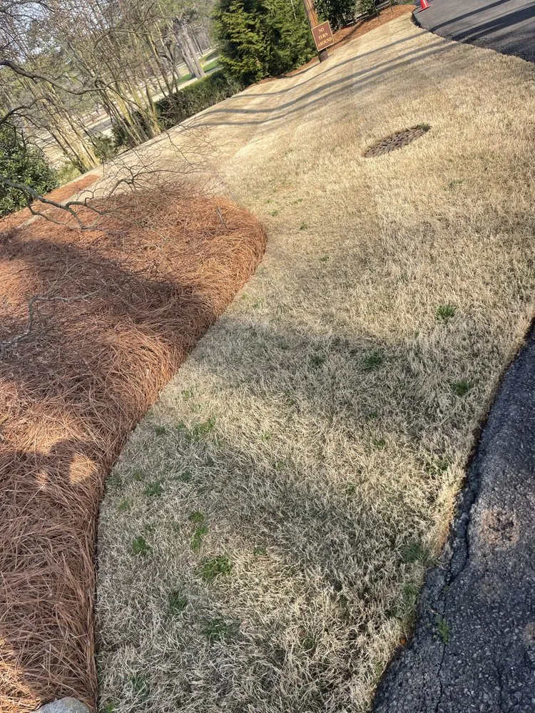 Trusted residential landscaping in Rome, GA by Mr.'s Sparkle Services