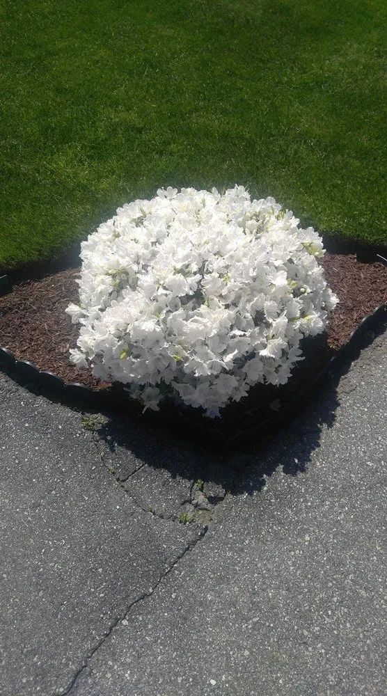 Trusted lawn care service for outdoor upgrades in Fall River, MA by MRT Maintenance Landscaper