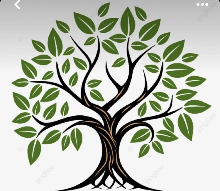 Top-rated residential landscaping in Fall River, MA by MRT Maintenance Landscaper