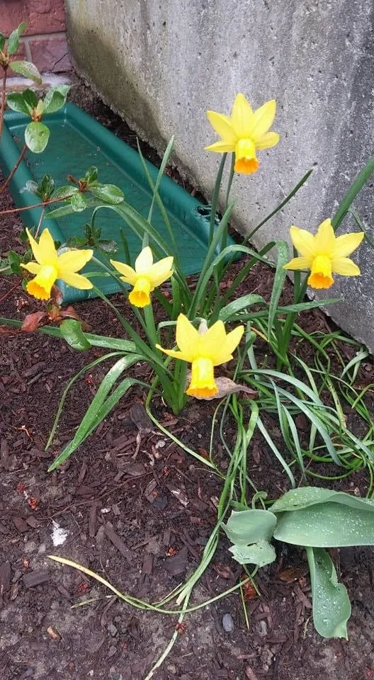 Top-rated outdoor landscaping for year-round maintenance across Fall River, MA - MRT Maintenance Landscaper