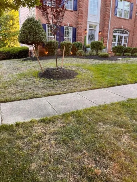 Trusted garden landscaping in LaPlata, MD - Mrw Lawns