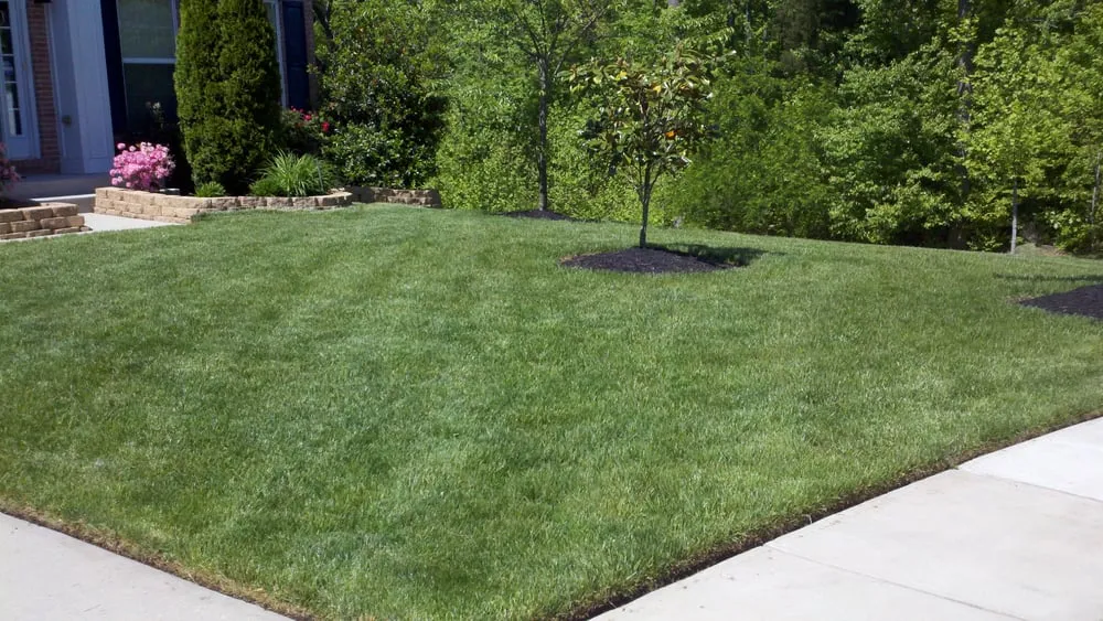 Professional lawn care service with custom design in LaPlata, MD by Mrw Lawns