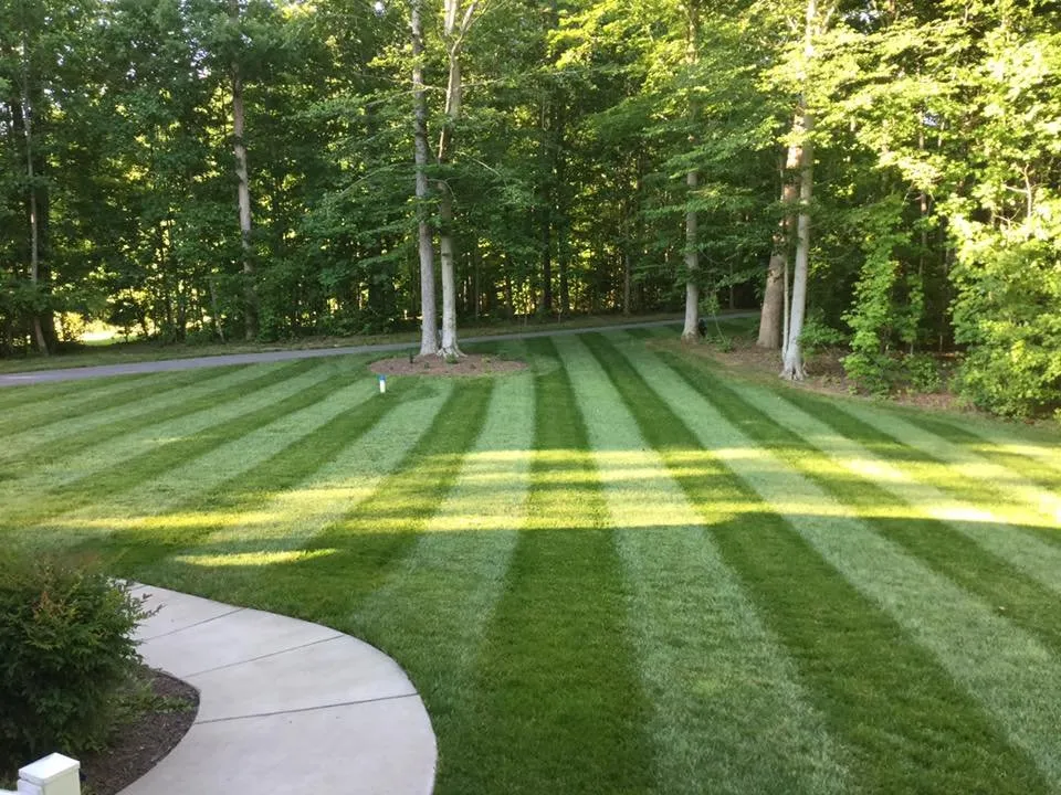 Professional outdoor landscaping experts serving LaPlata, MD - Mrw Lawns