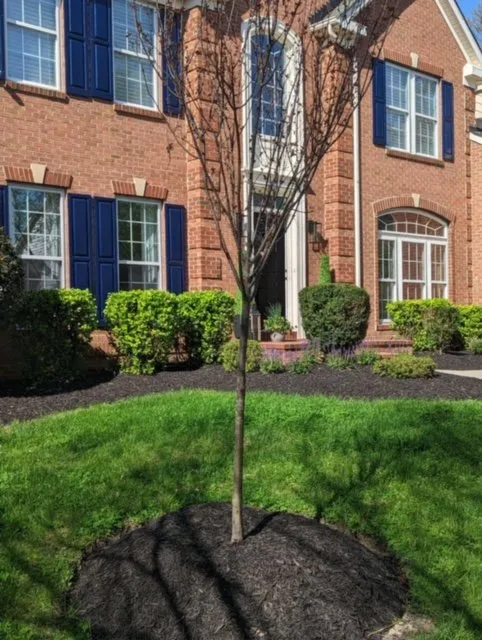 Local landscaping services in LaPlata, MD - Mrw Lawns