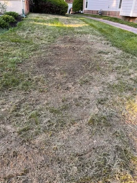 Reliable landscape design for homes across LaPlata, MD - Mrw Lawns