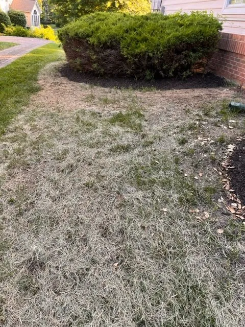 Professional yard maintenance for residential properties across LaPlata, MD - Mrw Lawns