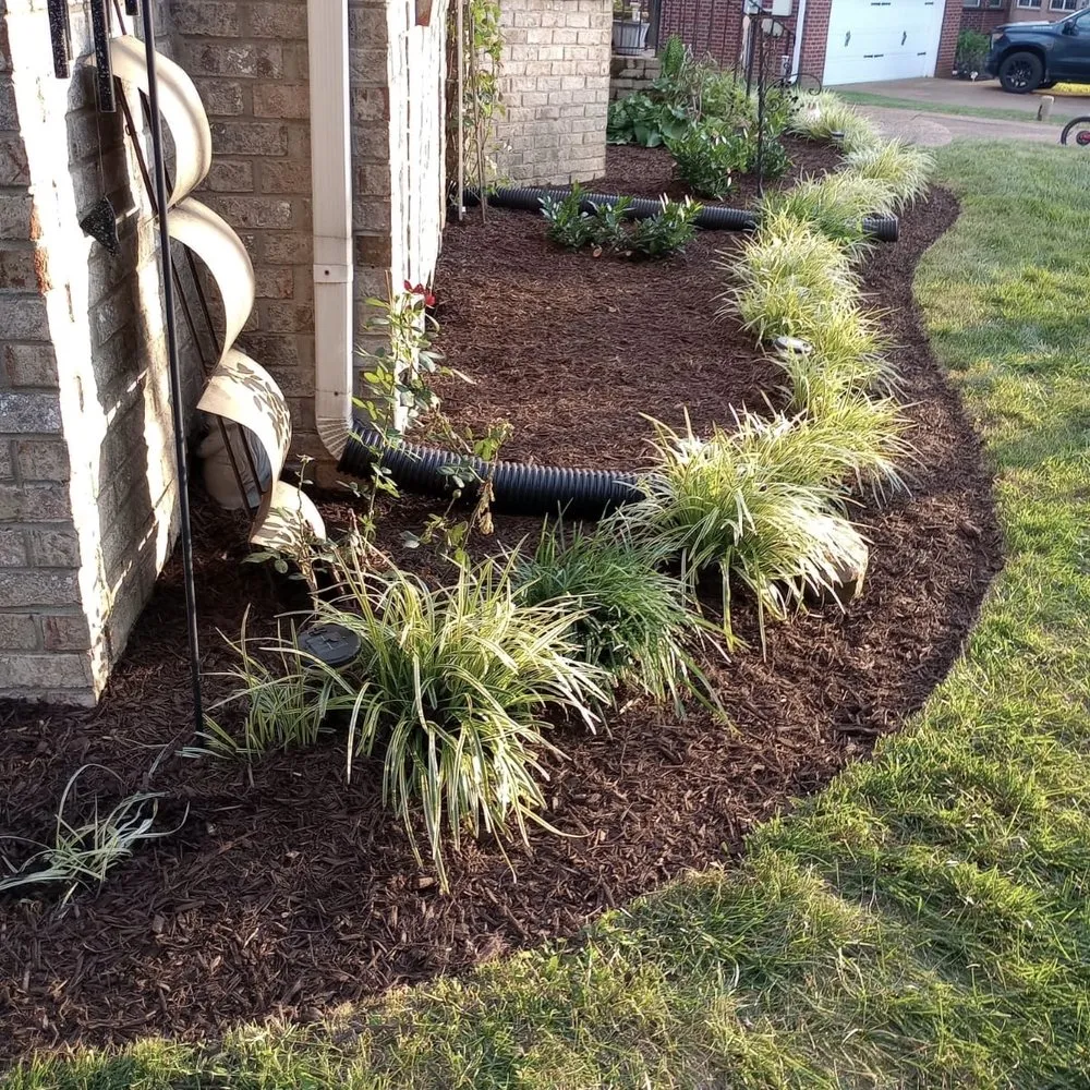 Top-rated lawn care service near you across Spring Hill, TN - MRX Landscaping