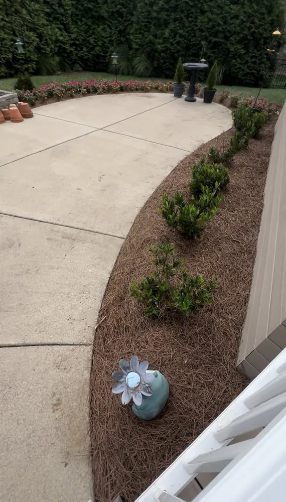 Expert yard maintenance in Spring Hill, TN by MRX Landscaping