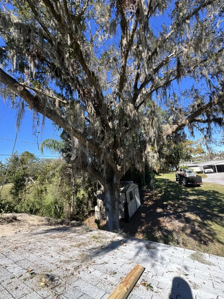 Reliable landscaping services experts serving Odessa, FL - MRY Land Solutions