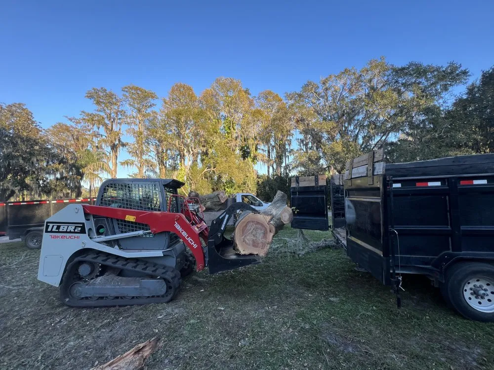 Trusted landscape installation in Odessa, FL by MRY Land Solutions