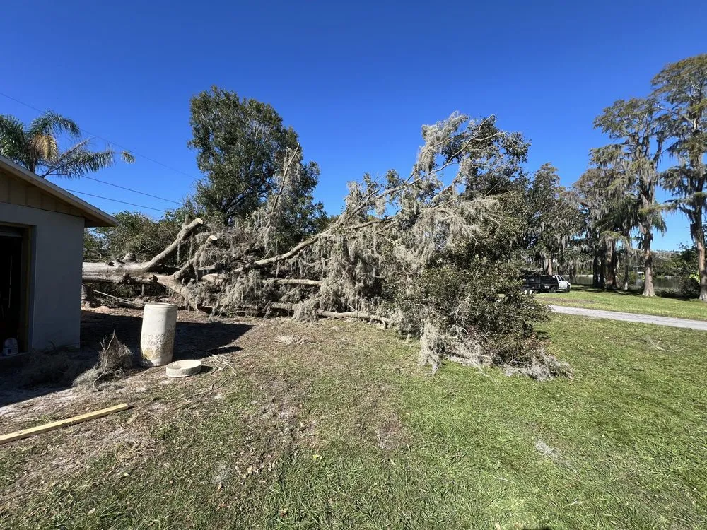 Top-rated landscape design for residential properties across Odessa, FL - MRY Land Solutions