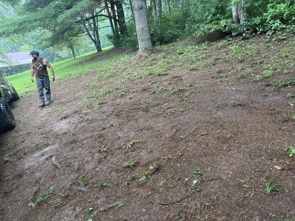 Affordable yard cleanup service in Punxsutawney, PA - MS & K Property Services