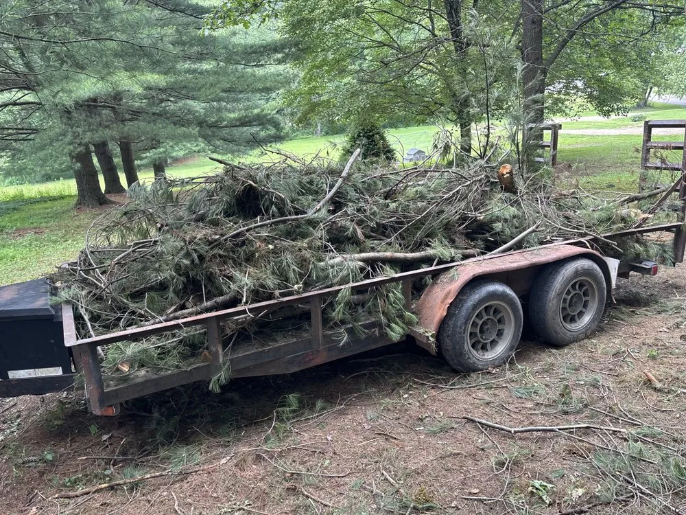 Top-rated lawn care service experts serving Punxsutawney, PA - MS & K Property Services