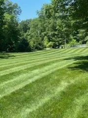Top-rated lawn care service experts serving Punxsutawney, PA - MS & K Property Services