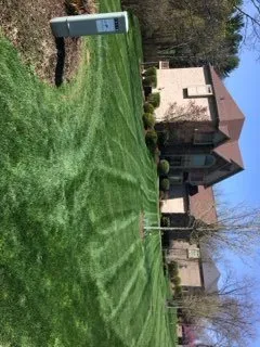 Local lawn care service in Punxsutawney, PA by MS & K Property Services