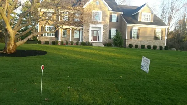 M's Creations, Landscaping