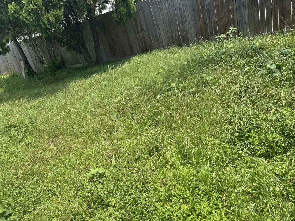 Reliable garden landscaping for homes in Houston, TX by M&S Finest Landscaping