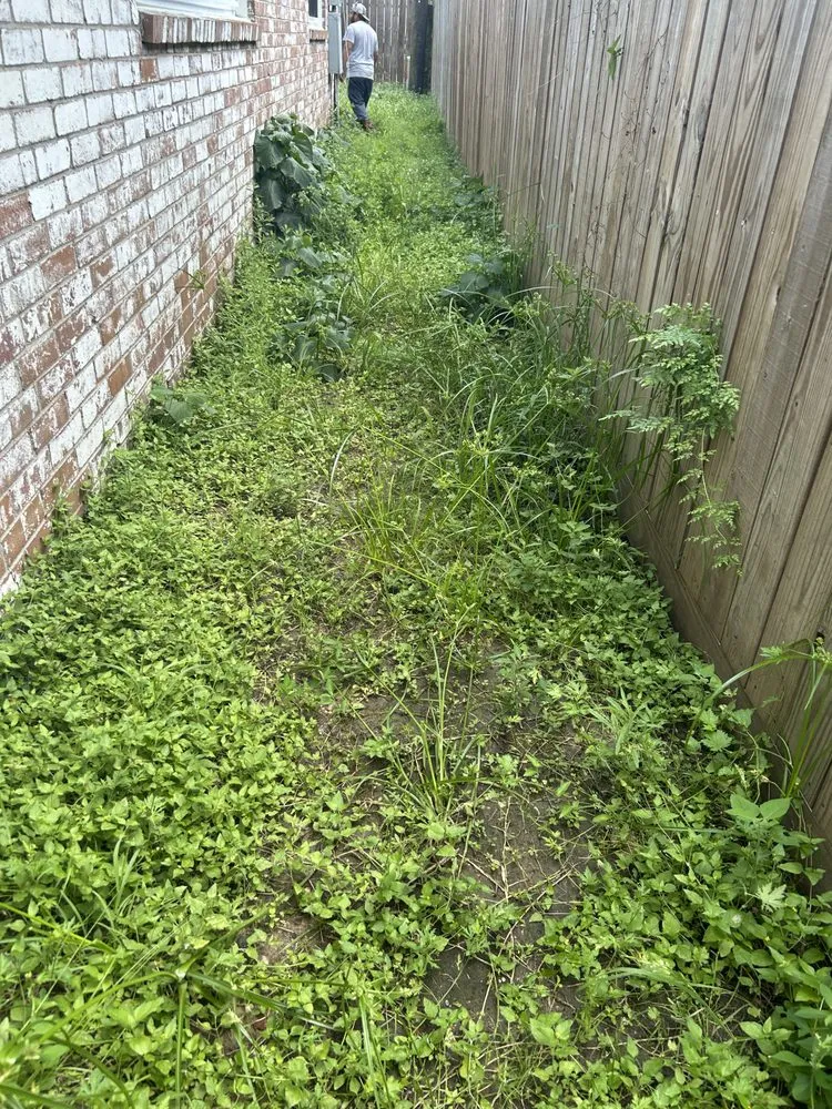 Custom landscape design in Houston, TX - M&S Finest Landscaping