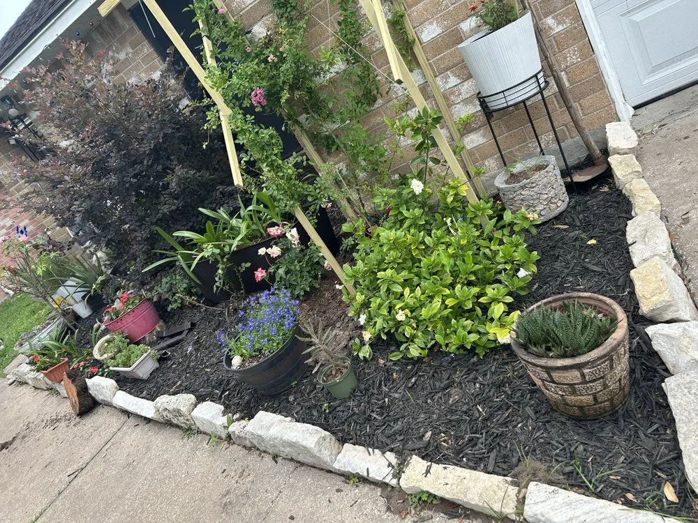 Local yard cleanup service experts serving Houston, TX - M&S Finest Landscaping