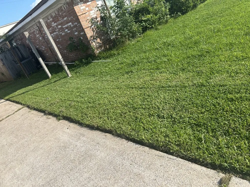 Local residential landscaping in Houston, TX - M&S Finest Landscaping