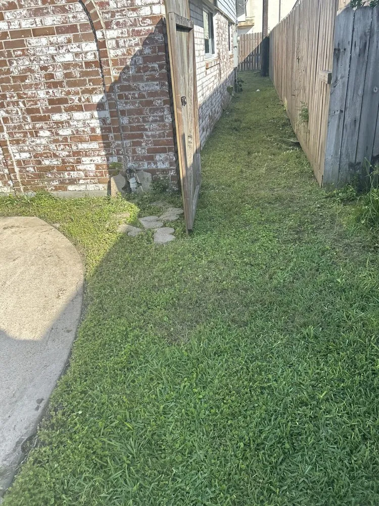 Local yard cleanup service in Houston, TX - M&S Finest Landscaping