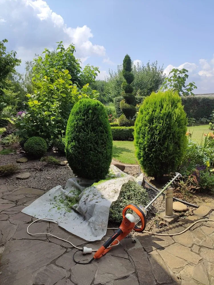 Custom yard cleanup service for homes across Lynnwood, WA - M&S Garden