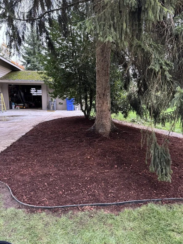 Affordable landscape installation for homes across Lynnwood, WA - M&S Garden