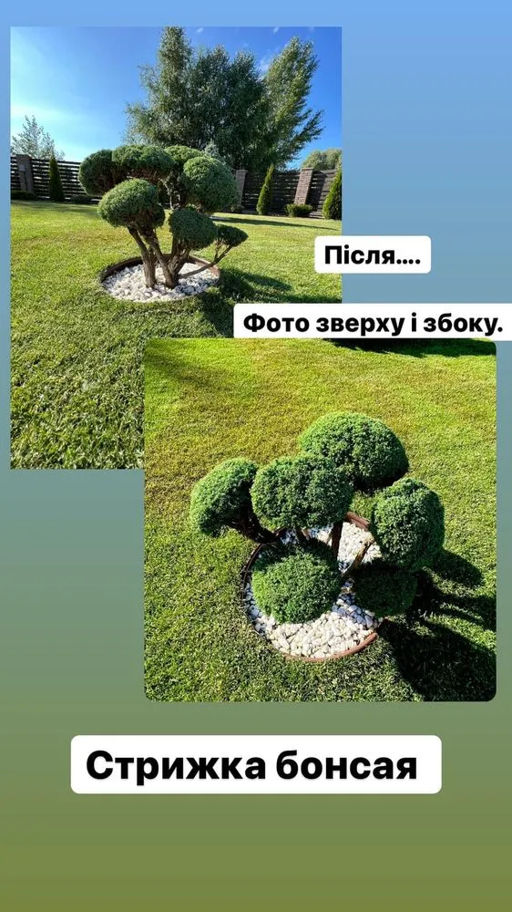 Trusted garden landscaping experts serving Lynnwood, WA - M&S Garden