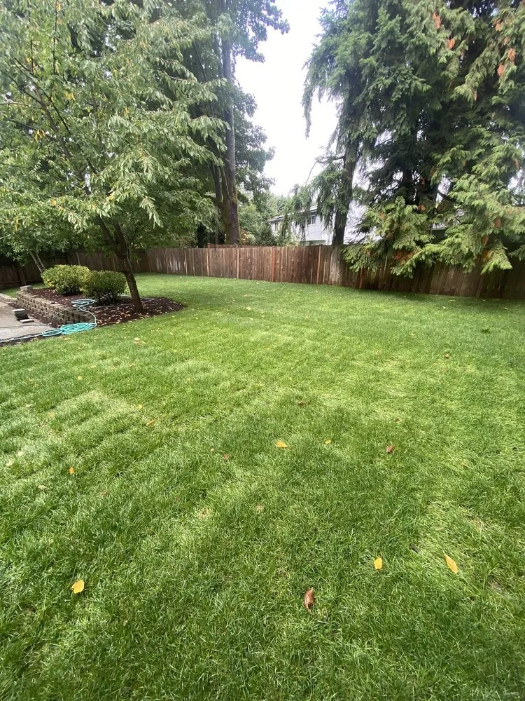Professional yard cleanup service in Lynnwood, WA by M&S Garden