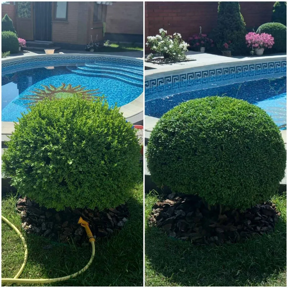 Expert lawn mowing service in Lynnwood, WA - M&S Garden