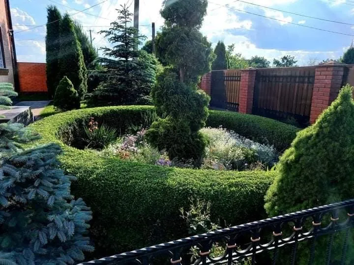 Top-rated landscaping services for beautiful yards in Lynnwood, WA by M&S Garden