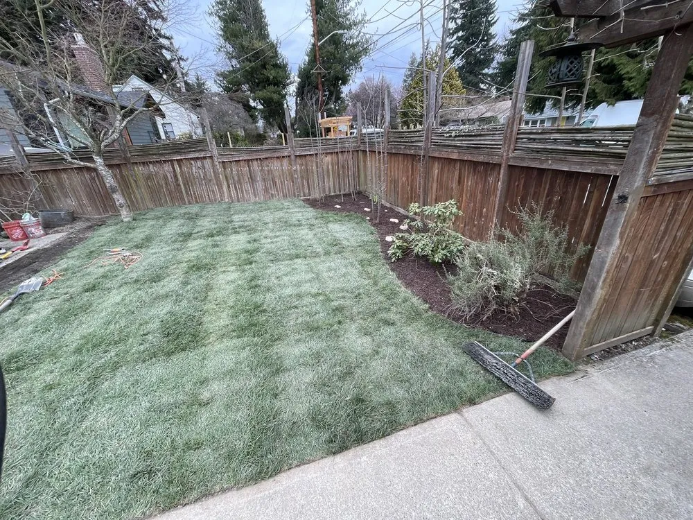 Expert yard maintenance near you in Lynnwood, WA by M&S Garden