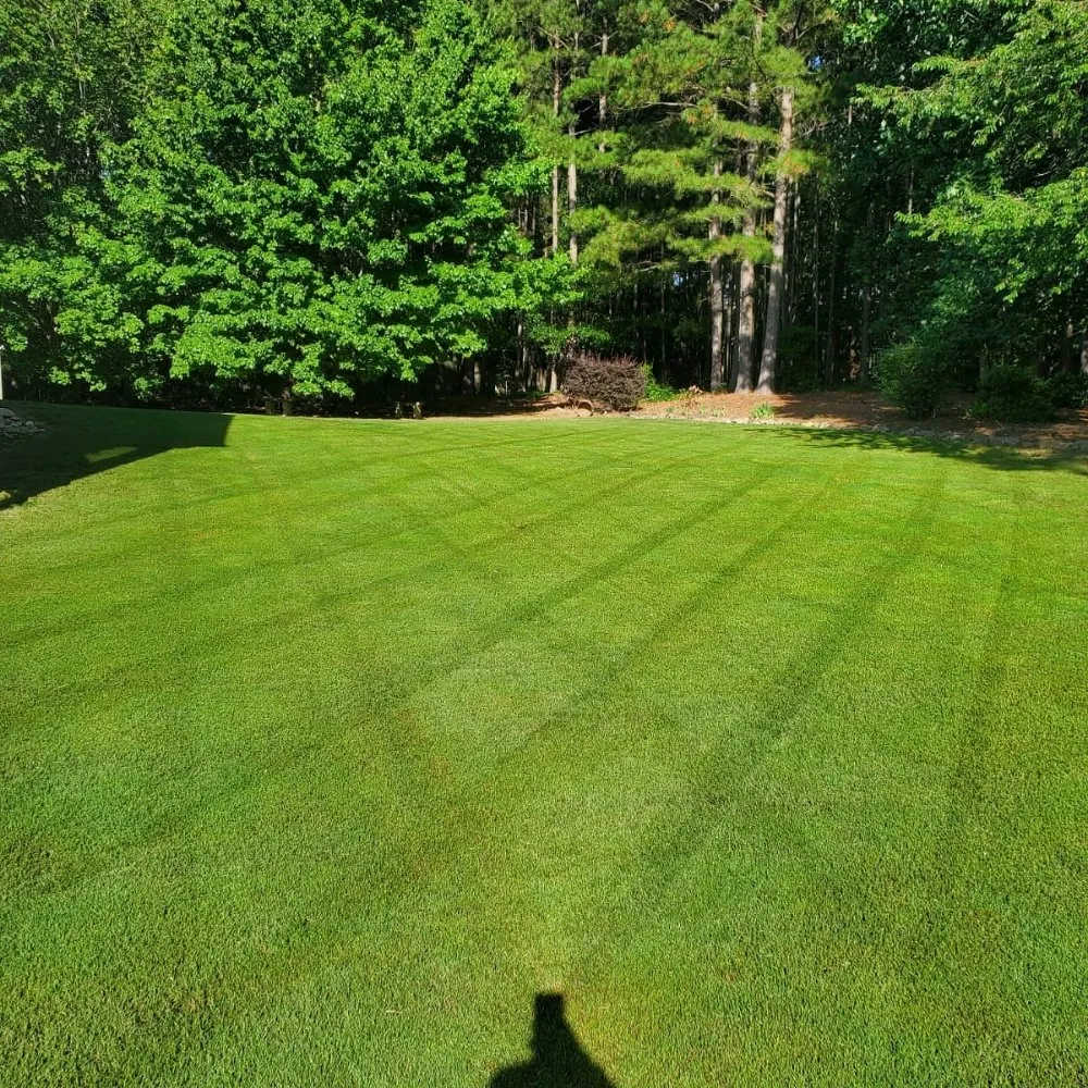 Expert garden landscaping in Flowery Branch, GA by MS General Services