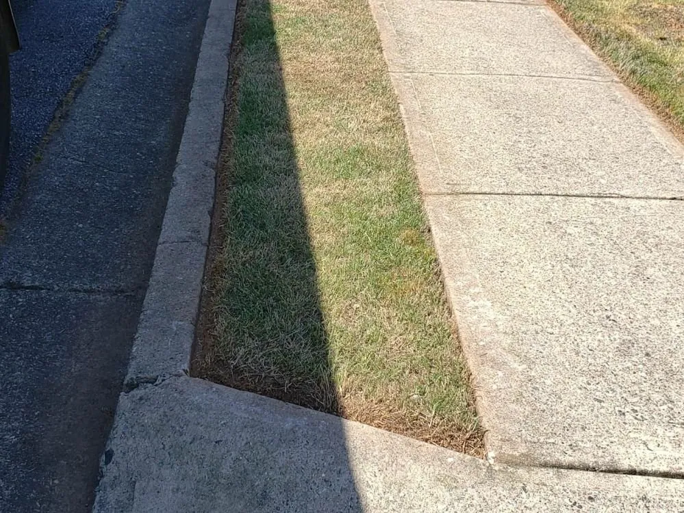 Local outdoor landscaping for residential properties in Flowery Branch, GA by MS General Services