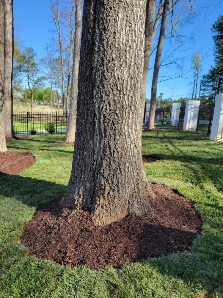Custom landscape installation in Flowery Branch, GA - MS General Services