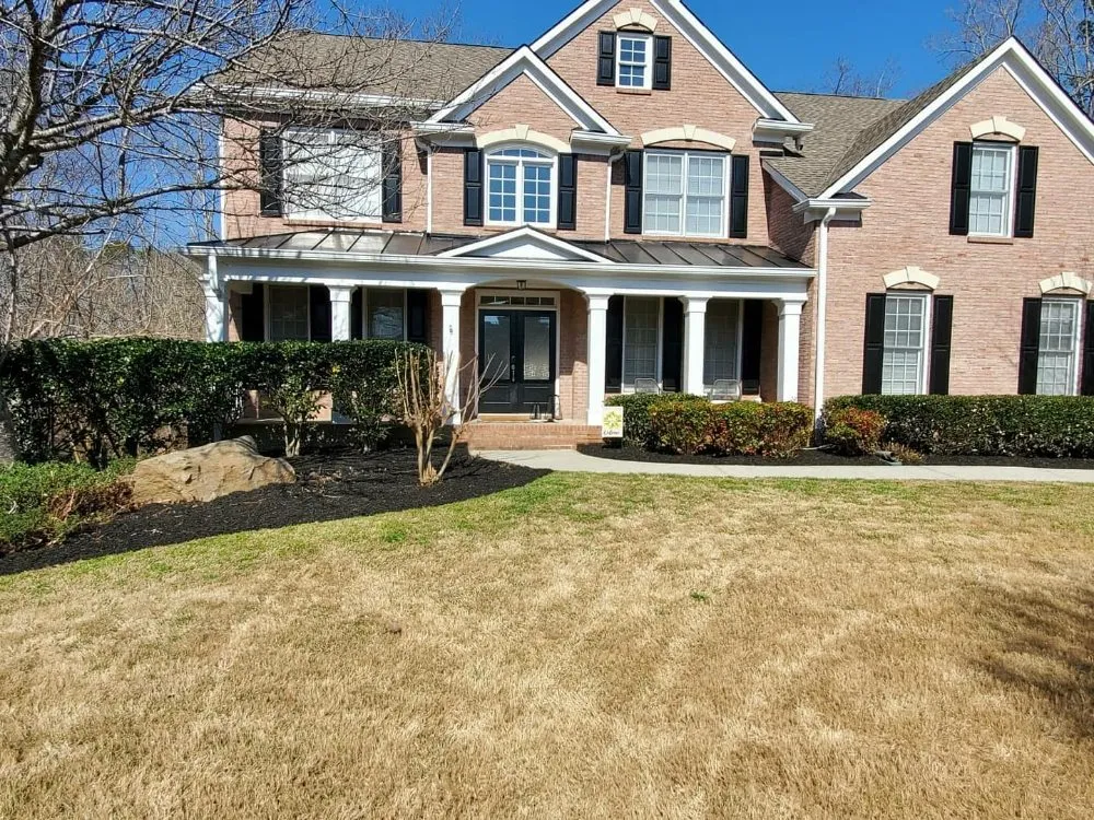 Expert yard cleanup service for residential properties across Flowery Branch, GA - MS General Services