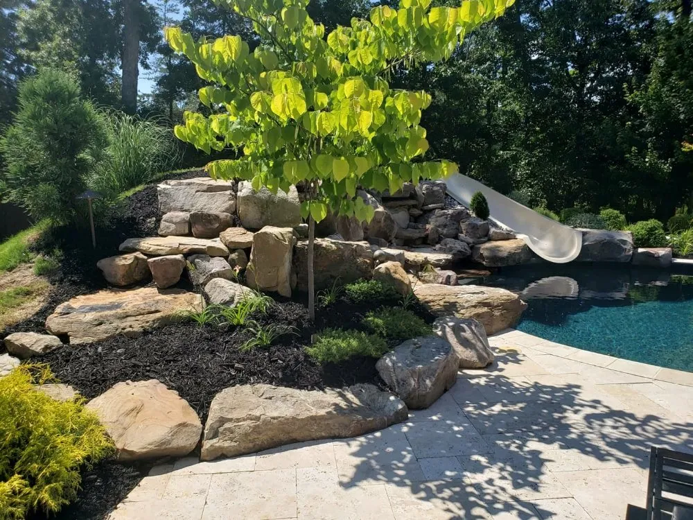 Local yard cleanup service in Flowery Branch, GA by MS General Services