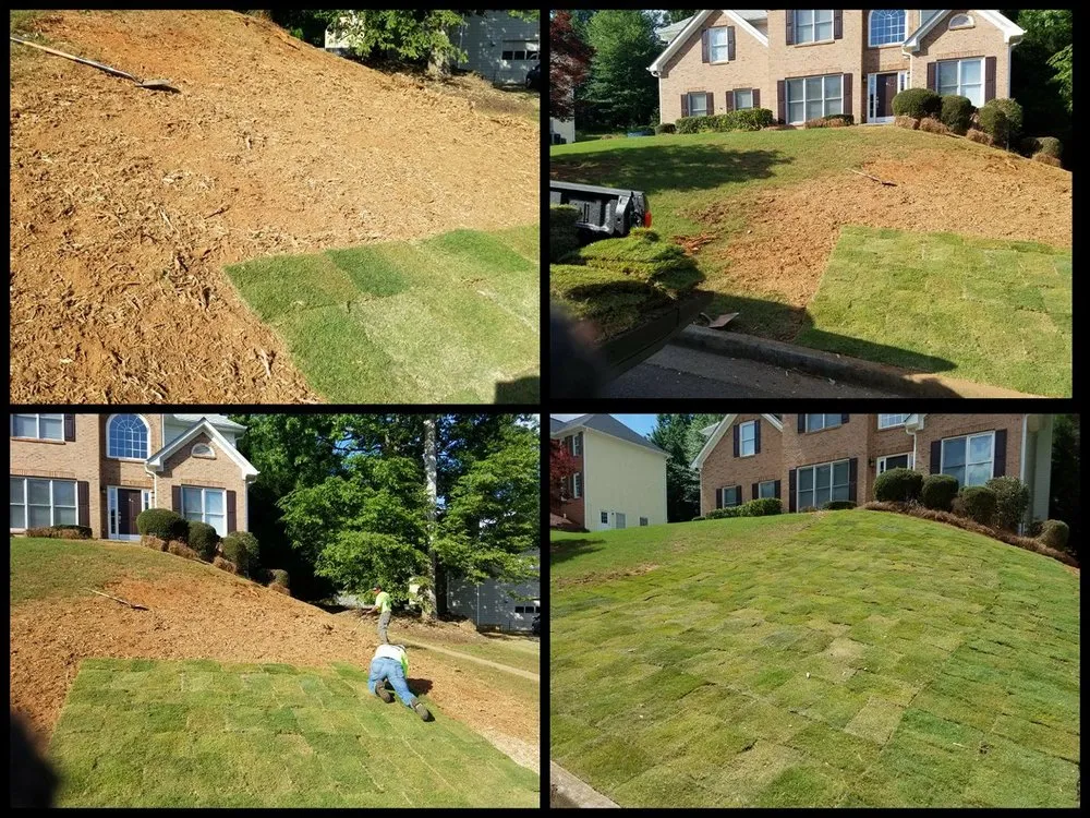 Professional landscape design in Flowery Branch, GA by MS General Services