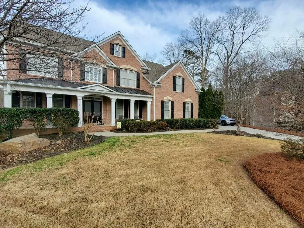 Affordable yard cleanup service in Flowery Branch, GA - MS General Services