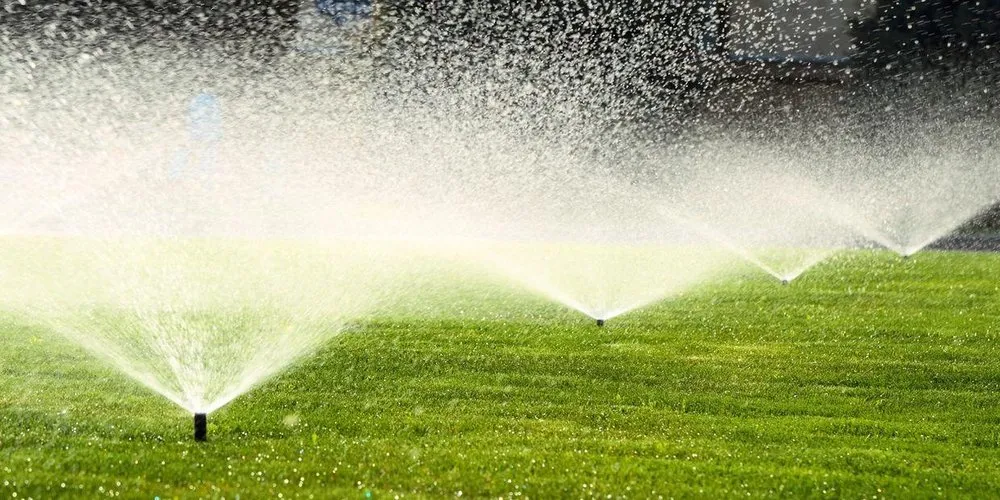 Professional landscaping services near you across Denver, CO - Ms Irrigation