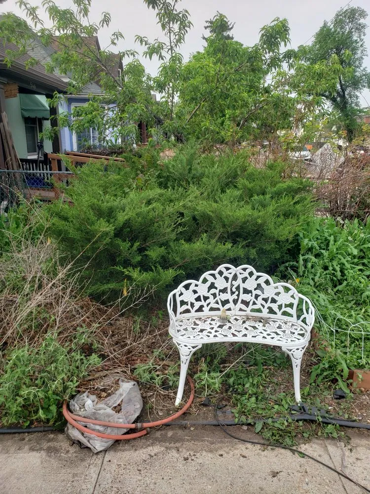 Expert garden landscaping for year-round maintenance in Denver, CO by Ms Irrigation