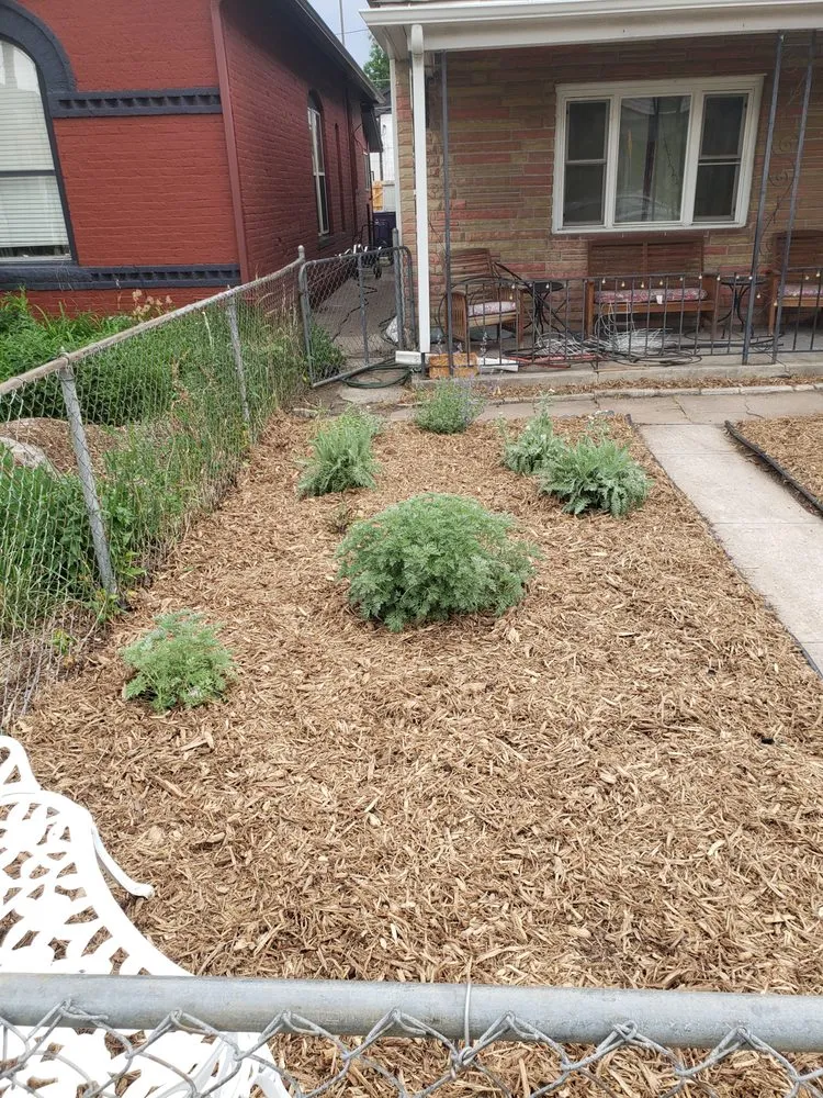 Top-rated landscape installation experts serving Denver, CO - Ms Irrigation