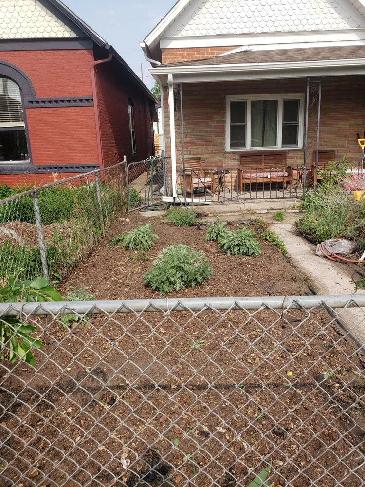 Affordable yard maintenance in Denver, CO - Ms Irrigation