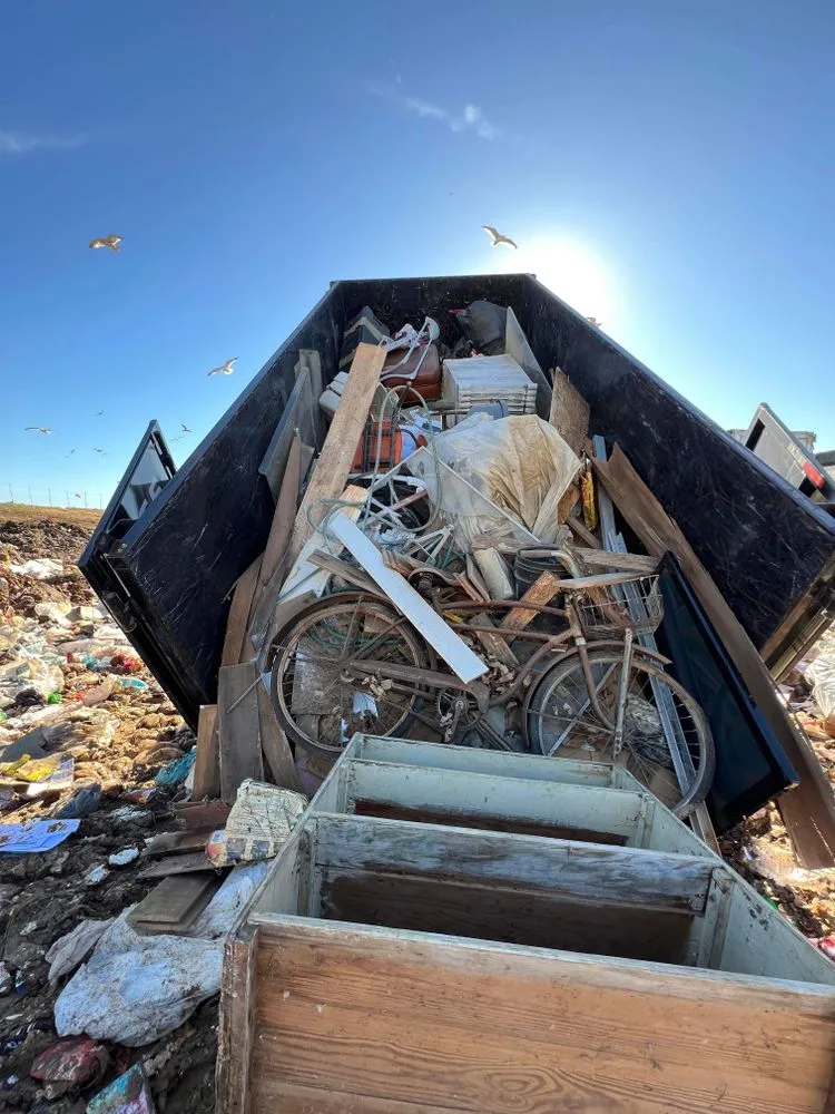 Local landscape installation for outdoor upgrades across Holly Springs, NC - M&S Junk Removal