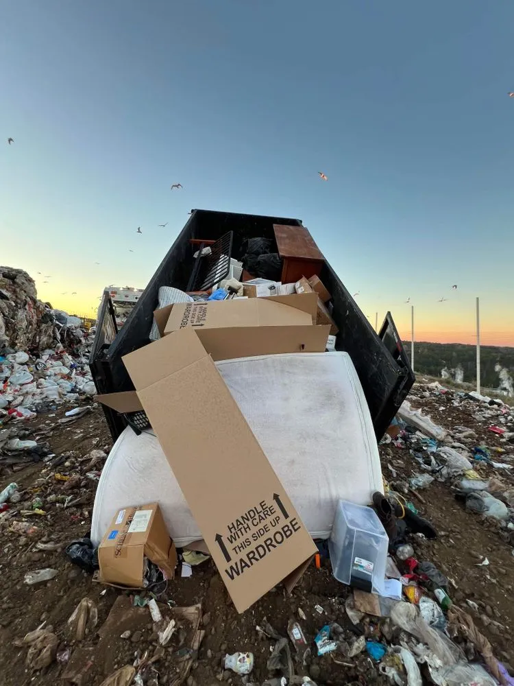 Reliable landscape installation for year-round maintenance in Holly Springs, NC by M&S Junk Removal