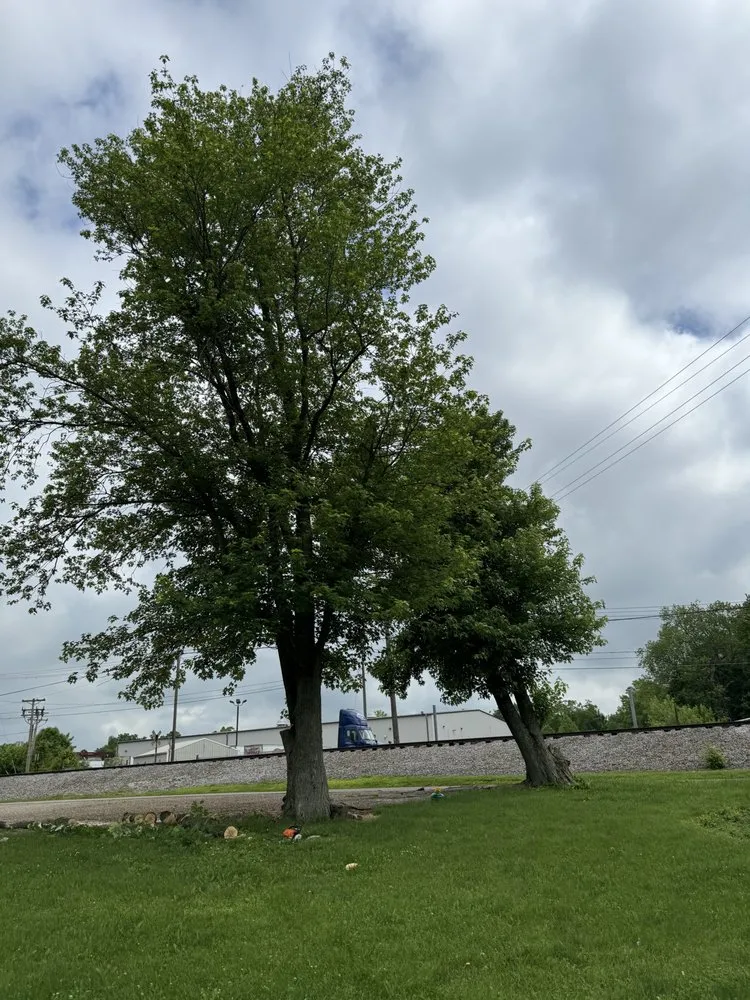 Reliable landscape installation for year-round maintenance across Byesville, OH - M&S Land Services