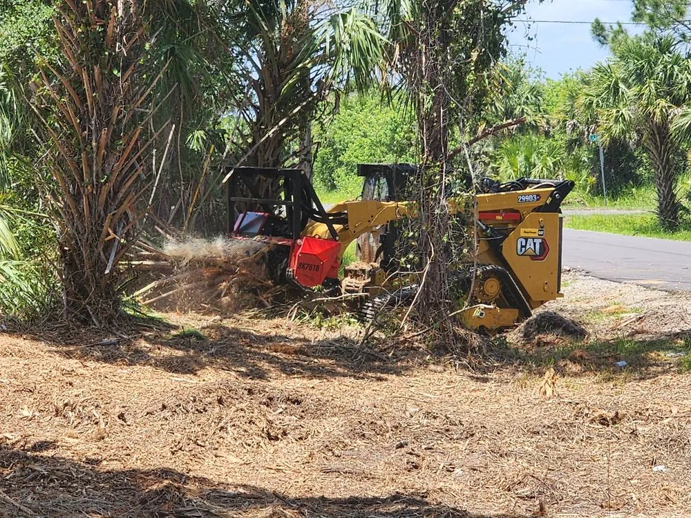 Reliable outdoor landscaping in Palm Bay, FL - M&S Land Services