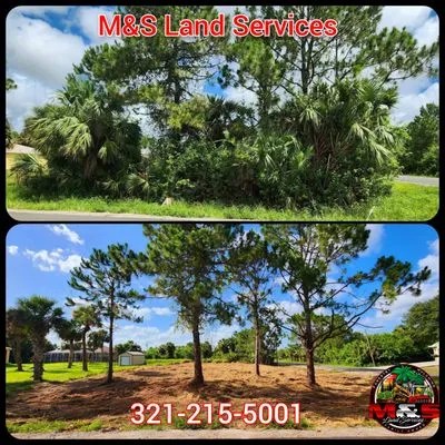 M&S Land Services Logo